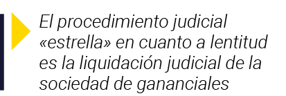  El procedimiento judicial  estrella  en cuanto a lentitud es la liquidación judicial de la sociedad de gananciales