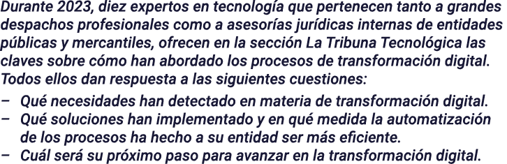 Durante 2023, diez expertos en tecnología que pertenecen tanto a grandes despachos profesionales como a asesorías jur   