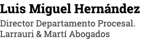 Luis Miguel Hernández Director Departamento Procesal  Larrauri & Martí Abogados
