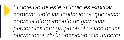  El objetivo de este artículo es explicar someramente las limitaciones que pesan sobre el otorgamiento de garantías p   