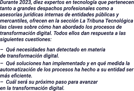 Durante 2023, diez expertos en tecnología que pertenecen tanto a grandes despachos profesionales como a asesorías jur   