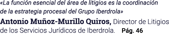  La función esencial del área de litigios es la coordinación de la estrategia procesal del Grupo Iberdrola  Antonio M   