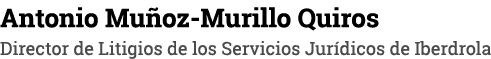 Antonio Muñoz-Murillo Quiros Director de Litigios de los Servicios Jurídicos de Iberdrola