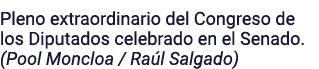 Pleno extraordinario del Congreso de los Diputados celebrado en el Senado  (Pool Moncloa   Raúl Salgado)