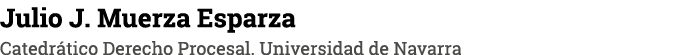 Julio J  Muerza Esparza Catedrático Derecho Procesal  Universidad de Navarra