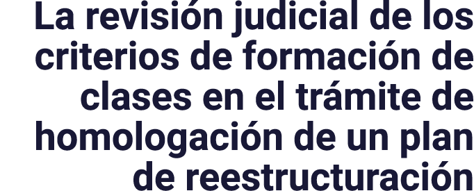 La revisión judicial de los criterios de formación de clases en el trámite de homologación de un plan de reestructura   
