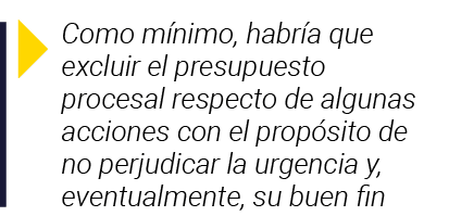  Como mínimo, habría que excluir el presupuesto procesal respecto de algunas acciones con el propósito de no perjudic   