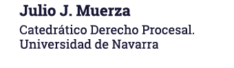 Julio J  Muerza Catedrático Derecho Procesal  Universidad de Navarra