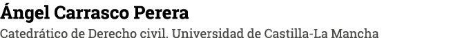 Ángel Carrasco Perera Catedrático de Derecho civil  Universidad de Castilla-La Mancha