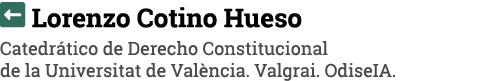   Lorenzo Cotino Hueso Catedrático de Derecho Constitucional de la Universitat de València  Valgrai  OdiseIA 