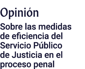Opinión Sobre las medidas de eficiencia del Servicio Público de Justicia en el proceso penal