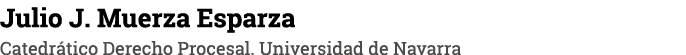 Julio J  Muerza Esparza Catedrático Derecho Procesal  Universidad de Navarra