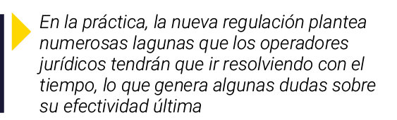  En la práctica, la nueva regulación plantea numerosas lagunas que los operadores jurídicos tendrán que ir resolviend   