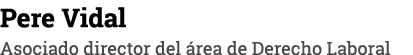 Pere Vidal Asociado director del área de Derecho Laboral