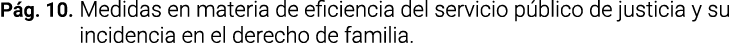 Pág  10  Medidas en materia de eficiencia del servicio público de justicia y su incidencia en el derecho de familia 
