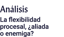 Análisis La flexibilidad procesal,  aliada o enemiga 