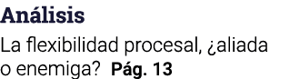 Análisis La flexibilidad procesal,  aliada o enemiga  Pág  13