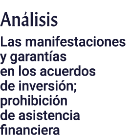 Análisis Las manifestaciones y garantías en los acuerdos de inversión; prohibición de asistencia financiera