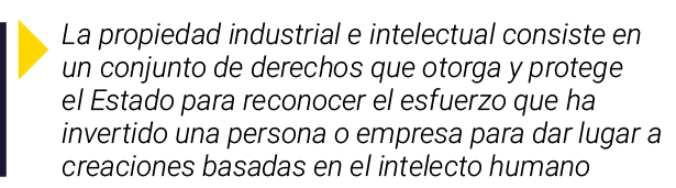  La propiedad industrial e intelectual consiste en un conjunto de derechos que otorga y protege el Estado para recono   