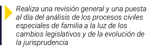  Realiza una revisión general y una puesta al día del análisis de los procesos civiles especiales de familia a la luz   