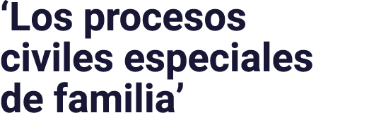  Los procesos civiles especiales de familia 