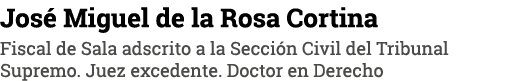 José Miguel de la Rosa Cortina Fiscal de Sala adscrito a la Sección Civil del Tribunal Supremo  Juez excedente  Docto   
