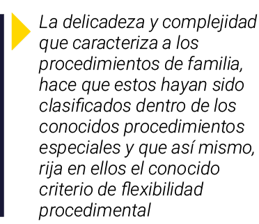  La delicadeza y complejidad que caracteriza a los procedimientos de familia, hace que estos hayan sido clasificados    