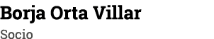 Borja Orta Villar Socio