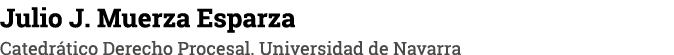 Julio J  Muerza Esparza Catedrático Derecho Procesal  Universidad de Navarra