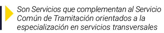  Son Servicios que complementan al Servicio Común de Tramitación orientados a la especialización en servicios transve   