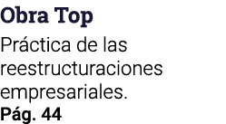 Obra Top Práctica de las reestructuraciones empresariales  Pág  44