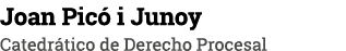 Joan Pic i Junoy Catedr tico de Derecho Procesal