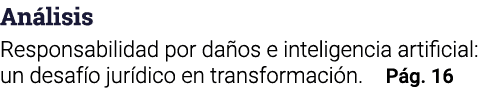An lisis Responsabilidad por da os e inteligencia artificial: un desaf o jur dico en transformaci n. P g. 16