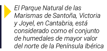 ￼ El Parque Natural de las Marismas de Santo a, Victoria y Joyel, en Cantabria, est considerado como el conjunto de ...