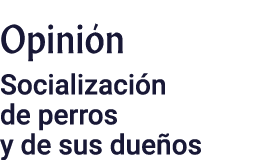 Opini n Socializaci n de perros y de sus due os