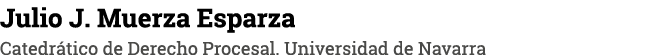 Julio J. Muerza Esparza Catedr tico de Derecho Procesal. Universidad de Navarra