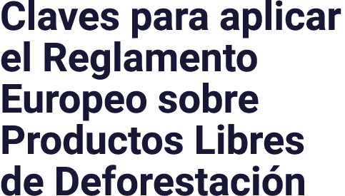 Claves para aplicar el Reglamento Europeo sobre Productos Libres de Deforestaci n