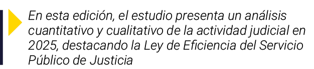 ￼ En esta edici n, el estudio presenta un an lisis cuantitativo y cualitativo de la actividad judicial en 2025, desta...