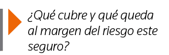   Qué cubre y qué queda al margen del riesgo este seguro 