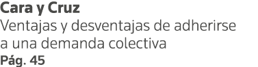 Cara y Cruz Ventajas y desventajas de adherirse a una demanda colectiva Pág  45 