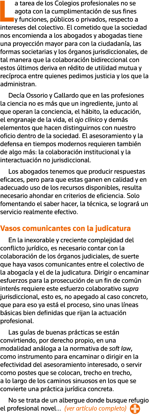 La tarea de los Colegios profesionales no se agota con la cumplimentación de sus fines y funciones, públicos o privad   