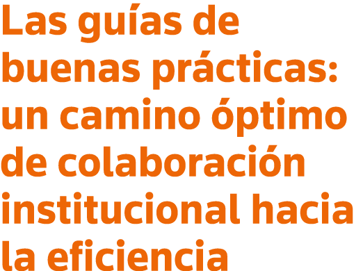 Las guías de buenas prácticas: un camino óptimo de colaboración institucional hacia la eficiencia