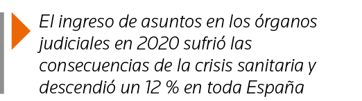  El ingreso de asuntos en los órganos judiciales en 2020 sufrió las consecuencias de la crisis sanitaria y descendió    