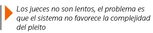  Los jueces no son lentos, el problema es que el sistema no favorece la complejidad del pleito