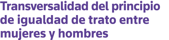 Transversalidad del principio de igualdad de trato entre mujeres y hombres