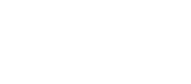 La nulidad relativa de marcas figurativas cuando entran en conflicto con diseños industriales anteriores