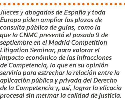 Jueces y abogados de España y toda Europa piden ampliar los plazos de consulta pública de guías, como la que la CNMC    
