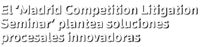 El  Madrid Competition Litigation Seminar  plantea soluciones procesales innovadoras