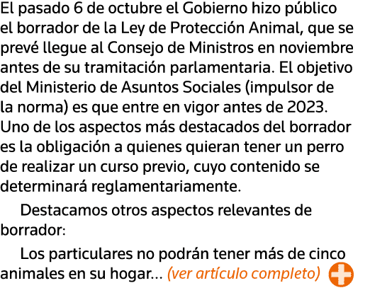 El pasado 6 de octubre el Gobierno hizo público el borrador de la Ley de Protección Animal, que se prevé llegue al Co   