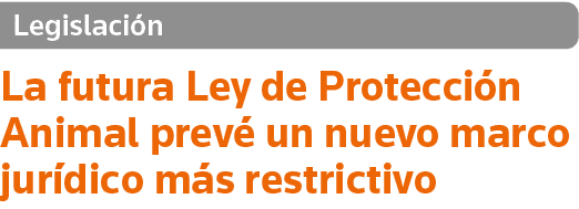 Legislación La futura Ley de Protección Animal prevé un nuevo marco jurídico más restrictivo